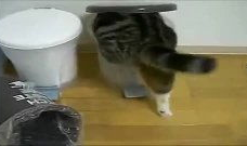 二货短视频,欢乐搞笑，笑出腹肌的瞬间回顾